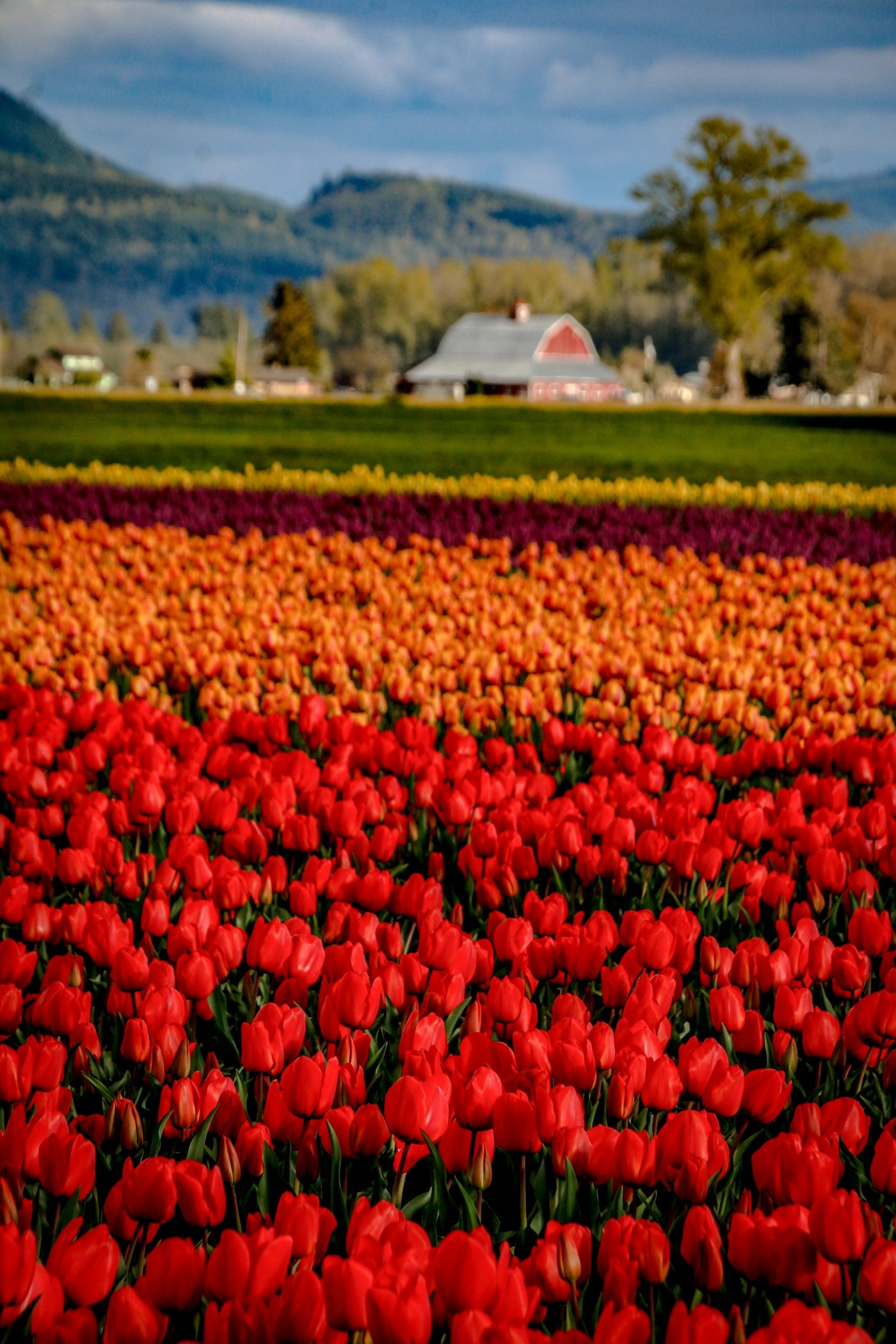 alla-kemelmakher-RLbMvreuh7o-unsplash